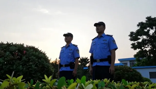 绿化养护选型中的关键考量因素分析